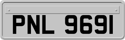 PNL9691