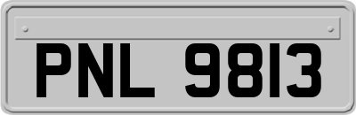 PNL9813