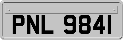 PNL9841