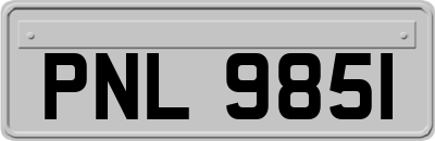 PNL9851