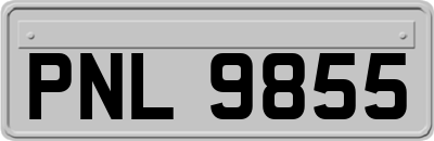 PNL9855