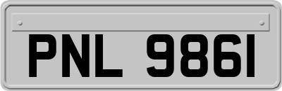 PNL9861