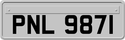 PNL9871