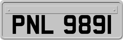 PNL9891