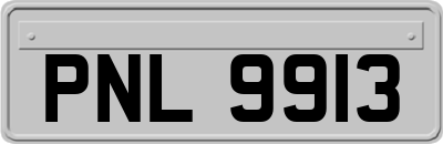 PNL9913