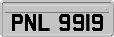 PNL9919