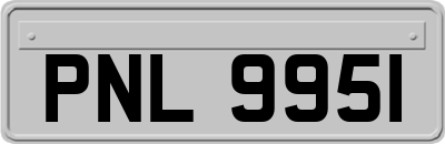 PNL9951