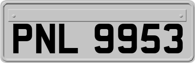 PNL9953