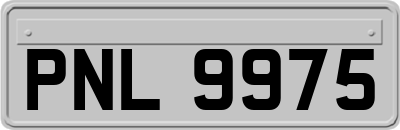 PNL9975