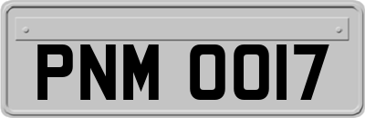 PNM0017