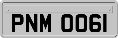PNM0061