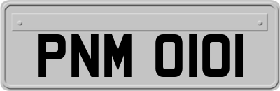 PNM0101