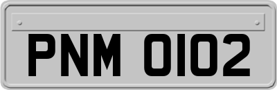PNM0102