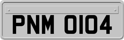 PNM0104