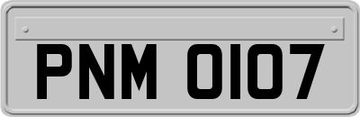 PNM0107