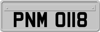 PNM0118
