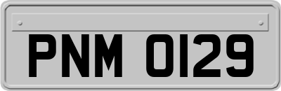 PNM0129