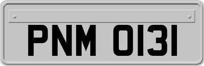 PNM0131