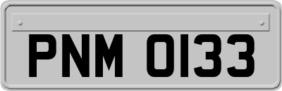 PNM0133