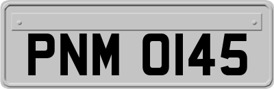PNM0145