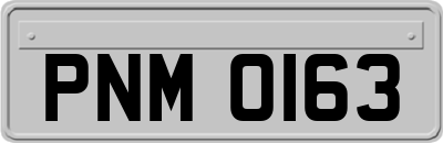 PNM0163