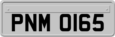 PNM0165