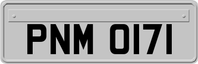 PNM0171
