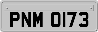 PNM0173