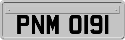 PNM0191