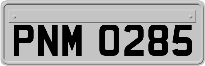 PNM0285