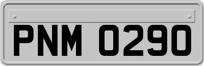 PNM0290