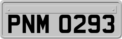 PNM0293