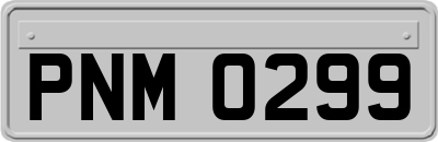 PNM0299