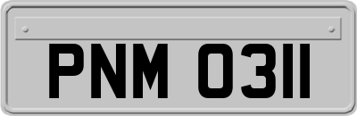 PNM0311