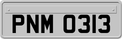 PNM0313