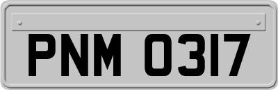 PNM0317