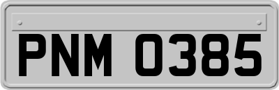 PNM0385