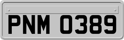 PNM0389