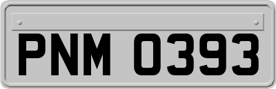 PNM0393