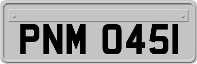 PNM0451