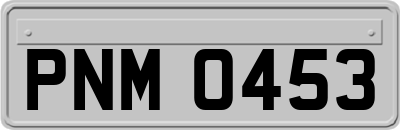 PNM0453