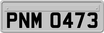 PNM0473
