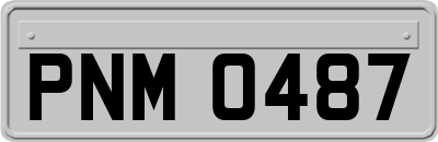 PNM0487