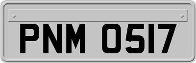PNM0517