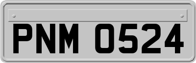 PNM0524