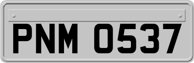 PNM0537