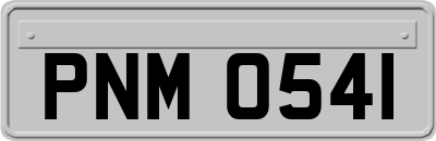 PNM0541