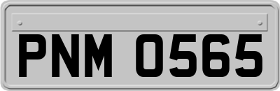 PNM0565