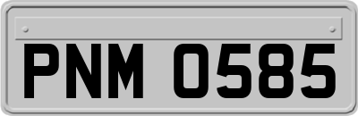 PNM0585