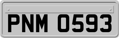 PNM0593